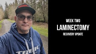 Laminectomy Recovery Week Two Update [upl. by Tabina]