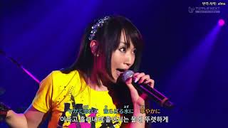 Nana Mizuki x T M Revolution  Preserved Roses live [upl. by Tyson]