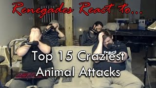 Renegades React to Top 15 Craziest Animal Attacks [upl. by Giorgi]