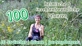 100 heimische amp insektenfreundliche Pflanzen 34 Pflanzen und Standortkunde  BestäuberWissen [upl. by Dnomrej]