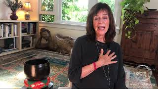 12 Minute Guided Forgiveness Meditation  Trudy Goodman [upl. by Auqeenahs314]