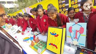 School Exhibition in the premises of NIKHIL SHYAMA DAV PUBLIC SCHOOL DUMRA SITAMARHI 27th Dec2022 [upl. by Eniger]