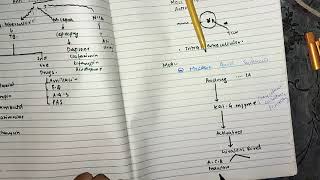 Anti Mycobacteria part 1 chemopharma katzung lippincot pharmacology [upl. by Irehj]