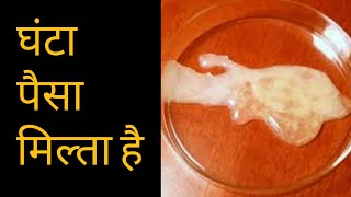 How to Become a Sperm Donor in India  How Much Money you can Earn  Ghanta Paisa Milta Hain [upl. by Artemahs]