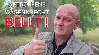 WAGENKNECHT GETROFFENE HUNDE BELLEN👍 [upl. by Adyahs715]