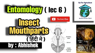 Insect mouthparts  Its type and classification  Entomology lec 6  Go For Agriculture [upl. by Garda]