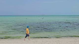 Castaway Cay Serenity Bay Sights and Sounds [upl. by Haidabej919]