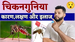 चिकनगुनिया क्यों होता है क्या है लक्षण कारण और इलाज  Chikungunya Causes Symptoms amp Treatment [upl. by Sykes]