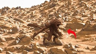 Exploring Planet Mars Stunning New Landscapes Sent By Perseverance Mars Rover on Sol 1354 [upl. by Averir]