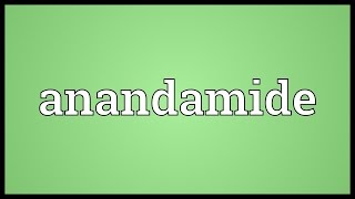 Anandamide Meaning [upl. by Doownelg250]