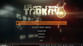 BEST Escape from Tarkov 014 Settings for PvP [upl. by Adirehs]