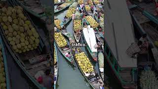 Curiosidades de Dhaka shortvideo turismo viajesyturismo traveldestinations curiosidades travel [upl. by Aeresed]