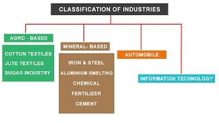 NCERT Class 10  Classification of Industries  Agro Mineral Automobile IT sector [upl. by Eleanore]