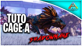 ARK Tuto La Meilleure cage à Shadowmane  Comment tame un Shadowmane facilement sur ARK [upl. by Gentes446]