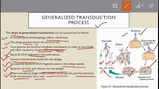 Transductiongeneralized transduction specialized transduction life cycle of bacteriophage [upl. by Ecyob]