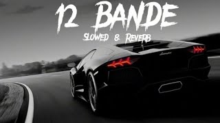 12 Bande Slowed amp reverb   varinder Brar [upl. by Enrol136]