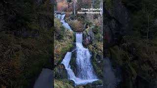 Slow Motion Triberg Waterfalls Triberger Wasserfälle schwarzwald travel germany waterfall [upl. by Laenej]