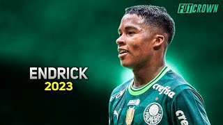 Endrick 2023 ● Palmeiras ► Magic Skills amp Goals  HD [upl. by Templer91]