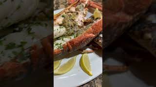 Lobster Homard seafood food foodie [upl. by Anitnemelc118]