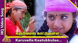 Karuvella Kaatukkulle Video Song  Porkaalam Tamil Movie Songs  Murali  Meena  Deva  Vairamuthu [upl. by Absalom]