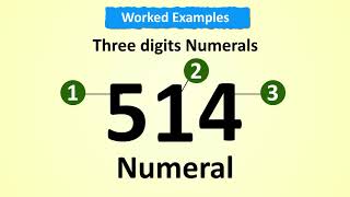 Numbers Numerals and Digits [upl. by Fianna]