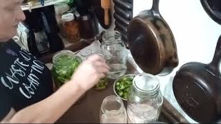 Fermenting Peppers To Make Hot Sauce [upl. by Peih]