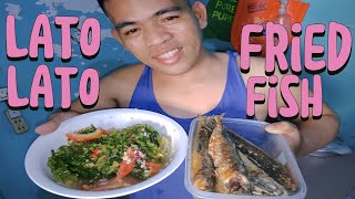 EP42ENSELADANG LATO AT FRIED FISH MUKBANGJJREPOLLOVLOG [upl. by Nnaeoj]