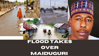 Flood takes over Maiduguri 😭😭😭charismagist [upl. by Ayikat]