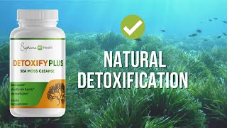 Sea Moss Benefits  Introducing DetoxifyPlus Capsules [upl. by Etnad]