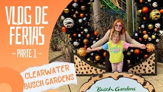 VLOG DE FÉRIAS  PARTE 1  TAMPA  CLEARWATER E BUSCH GARDENS [upl. by Rihaz725]