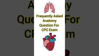 Frequently Asked Anatomy Question For CPC Exam  Anatomy And Physiology  Medical Coding cpcexam [upl. by Hsemar51]