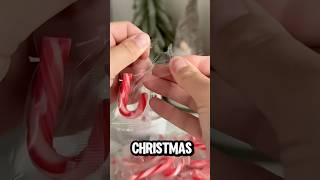 Which candy cane will you choose for Christmas christmas candycane [upl. by Adon]