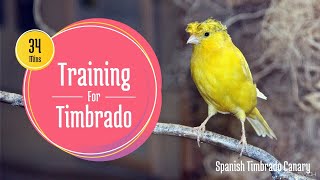 Spanish Timbrado Training CD [upl. by Cad286]