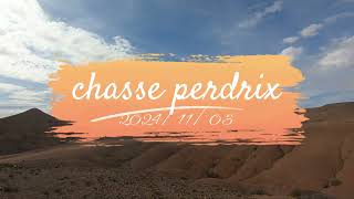 chasse perdrix 20241103 صيد الحجل [upl. by Nyrehtak]