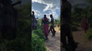 The Hamar Bull Jump Ceremoyquot ethiopia africantribe ceremony omovalleytribes [upl. by Gibert]