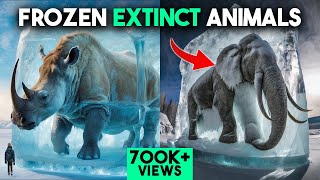 What is an Ice Age  Major Ice Ages amp Timeline  Earth Science for Kids [upl. by Toinette]