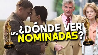 DÓNDE VER las NOMINADAS a los Premios Oscar 2024 [upl. by Kristine]