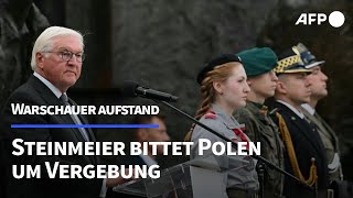 Warschauer Aufstand Steinmeier bittet Polen um Vergebung  AFP [upl. by Viguerie]