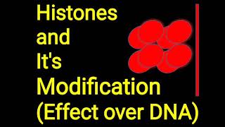 Histones and its modification [upl. by Ecadnac]