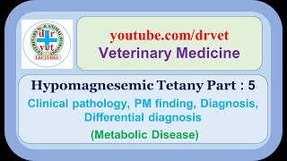 Hypomagnesemic tetany Part 5 clinical pathology PM findings diagnosis differential diagnosis [upl. by Fraya80]