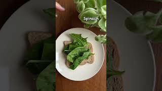 Egg Salad Sandwich Recipe  Easy and Healthy Breakfast 🥪👩🏻‍🍳 [upl. by Macario]