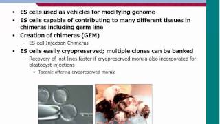 Cryopreservation Webinar [upl. by Aneger699]