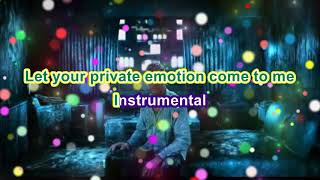 Private Emotion  Ricky Martin amp Meja KARAOKE [upl. by Hcnarb]