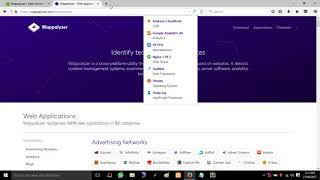 How to use wappalyzer in web browser [upl. by Anaynek]