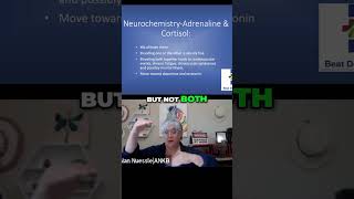 Neurochemistry The Impact of Elevated Neurotransmitters on Health [upl. by Kiley]