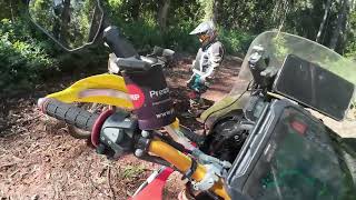 Lockyer National Park reconnaissance ride on CRF300 and DR200 with gumbies [upl. by Yank]