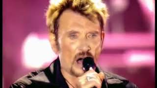 Johnny Hallyday  Lenvie  Live Parc des Princes 2003 [upl. by Telimay]