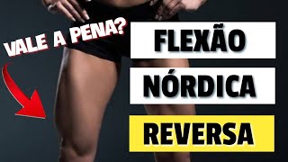 FLEXÃO NÓRDICA REVERSA seguro e eficiente  ANÁLISE NORDIC CURLS [upl. by Nieberg]