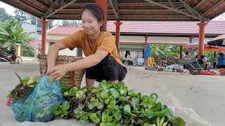 14 days of building a life harvest bamboo shootgourds and water hyacinths for sale [upl. by Doty]