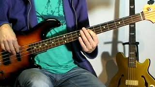 The Mindbenders  A Groovy Kind Of Love  Bass Cover [upl. by Bradleigh]